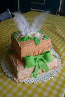 /album/fotogaleria-narodeninove-torty/imag0323-jpg/